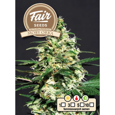 Fair Seeds - Auto Moby Orka