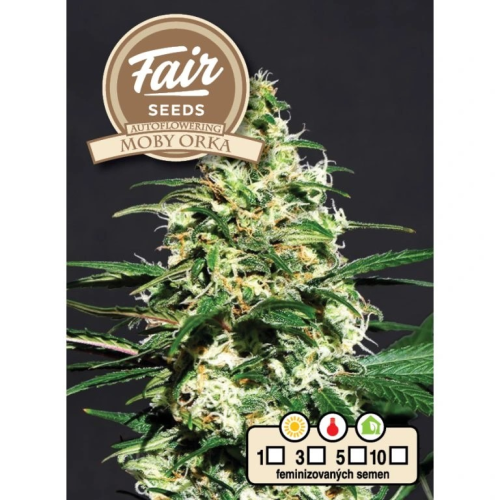 Fair Seeds - Auto Moby Orka