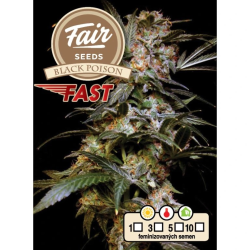Fair Seeds - Black Poison Fast