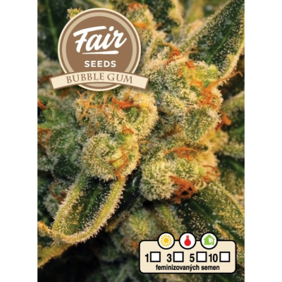 Fair Seeds - Bubble Gum