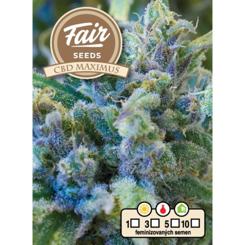 Fair Seeds - CBD Maximus