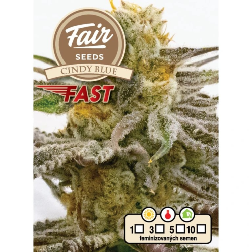 Fair Seeds - Cindy Blue Fast