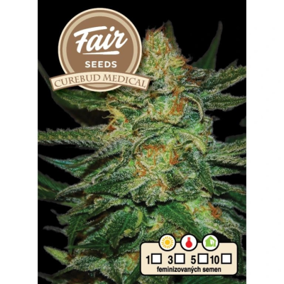 Fair Seeds - Cure BuD Medical
