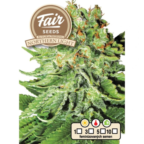 Fair Seeds - Auto Northern Light