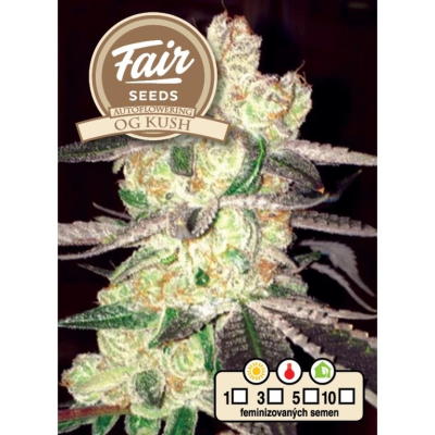 Fair Seeds - Auto OG Kush