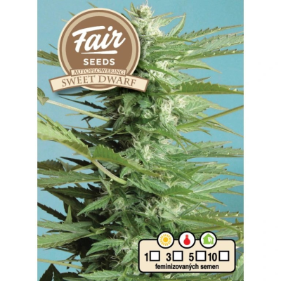 Fair Seeds - Auto Sweet Dwarf