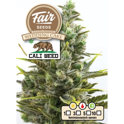 Fair Seeds - Auto Wedding Cake