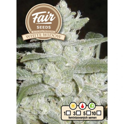 Fair Seeds - Auto White Widow