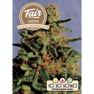 Fair Seeds - Black Dominator