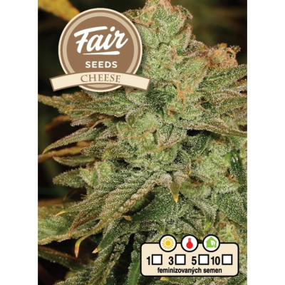 Fair Seeds - Cheese