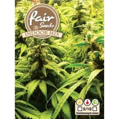 Fair Seeds - Indoor MIX