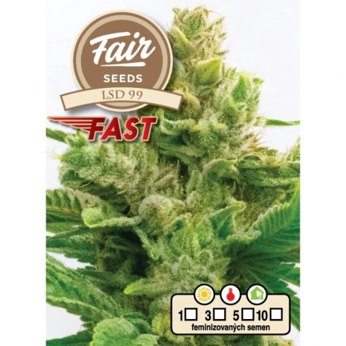 Fair Seeds - LSD 99 Fast