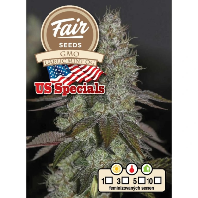 Fair Seeds - GMO Garlic Mint OG