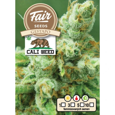 Fair Seeds - Gestapo