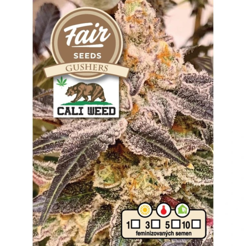 Fair Seeds - Gushers