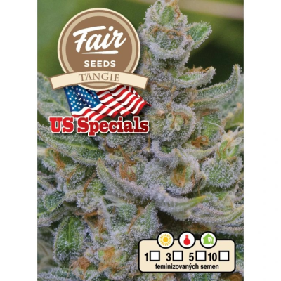Fair Seeds - Tangie