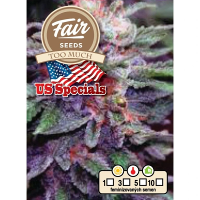 Fair Seeds - Too Much