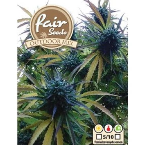 Fair Seeds - Outdoor MIX