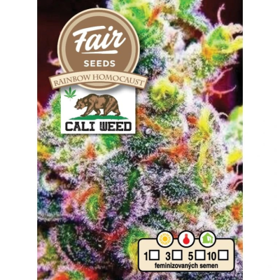 Fair Seeds - Rainbow Homocaust