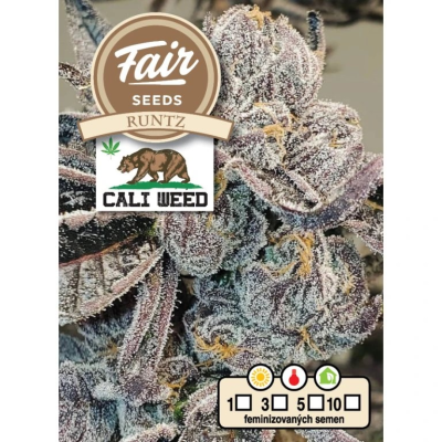 Fair Seeds - Runtz