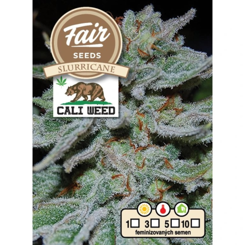 Fair Seeds - Slurricane