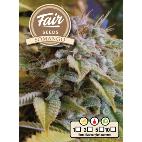 Fair Seeds - Somango