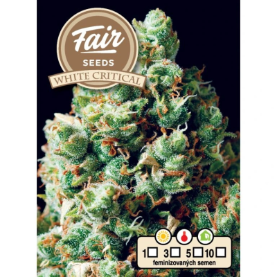 Fair Seeds - White Critical