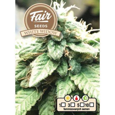 Fair Seeds - White Widow