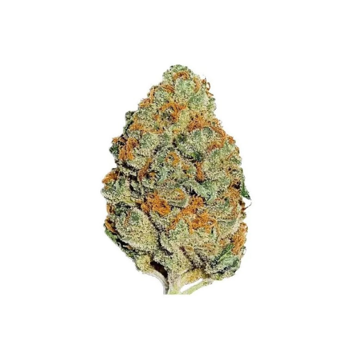 Fast Buds - Lemon Mandarin