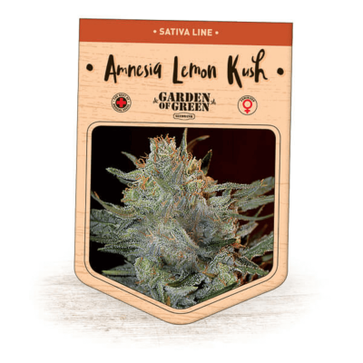 Garden Of Green Seedbank - Amnesia Lemon Kush