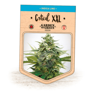 Garden Of Green Seedbank - Critical XXL