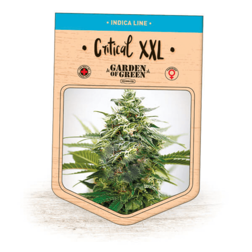 Garden Of Green Seedbank - Critical XXL