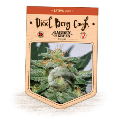 Garden Of Green Seedbank - Diesel Berry Cough