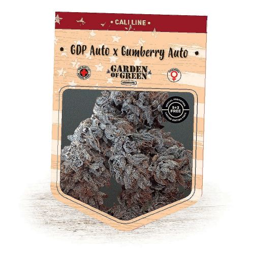 Garden Of Green Seedbank - GDP Auto x Gumberry Auto