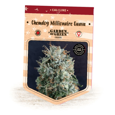 Garden Of Green Seedbank - Chemdog Millionaire Guava