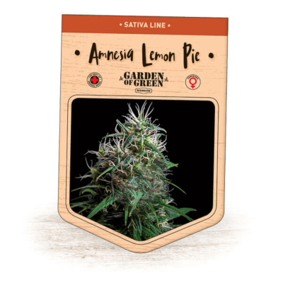 Garden Of Green Seedbank - Amnesia Lemon Pie