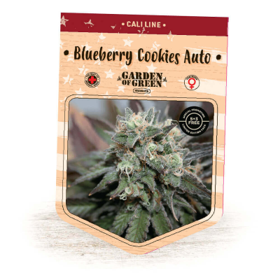Garden Of Green Seedbank - Blueberry Cookies Auto