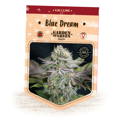 Garden Of Green Seedbank - Blue Dream