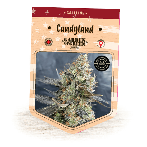Garden Of Green Seedbank - Candyland