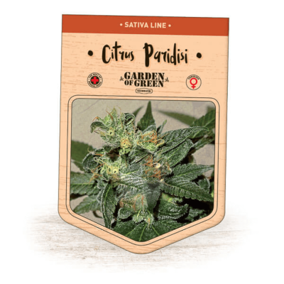 Garden Of Green Seedbank - Citrus Paridisi