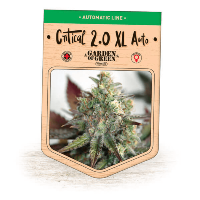 Garden Of Green Seedbank - Critical 2.0 XL Auto