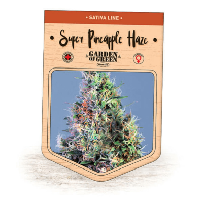 Garden Of Green Seedbank - Super Pineapple Haze