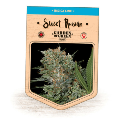 Garden Of Green Seedbank - Sweet Russian