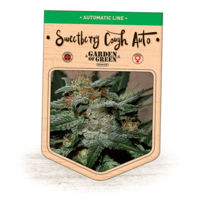 Garden Of Green Seedbank - Sweetberry Cough Auto
