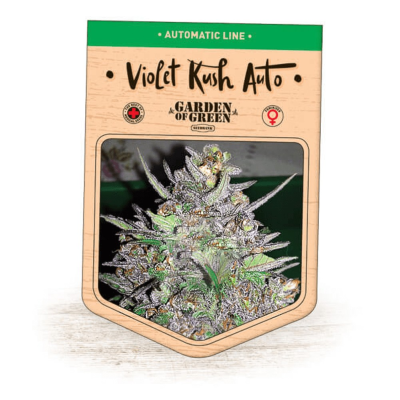 Garden Of Green Seedbank - Violet Kush Auto