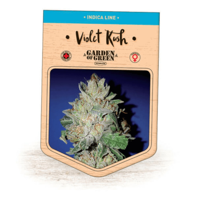 Garden Of Green Seedbank - Violet Kush