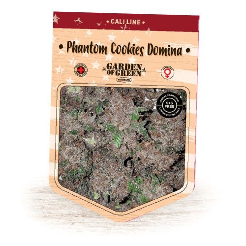 Garden Of Green Seedbank - Phantom Cookies Domina