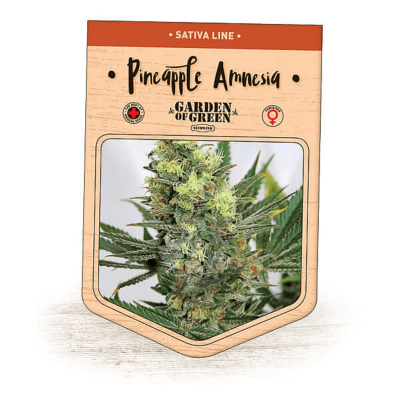 Garden Of Green Seedbank - Pineapple Amnesia