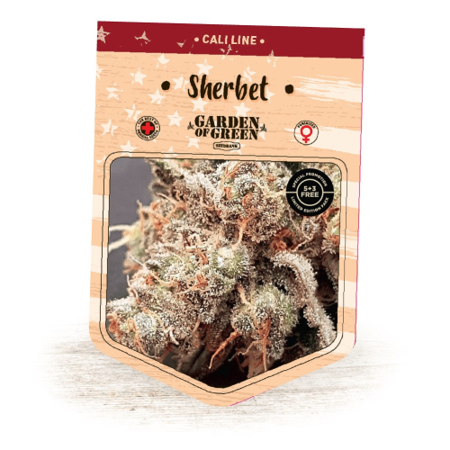 Garden Of Green Seedbank - Sherbet