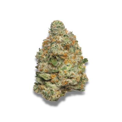 Growers Choice - Apple Fritter Auto